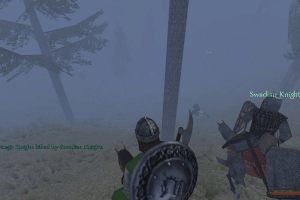 Mount & Blade 42