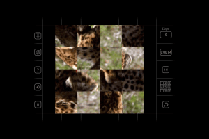 Moving Puzzle: Wild Life 3