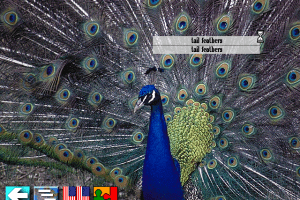 Multi-Lingual Talking Picture Dictionary 4