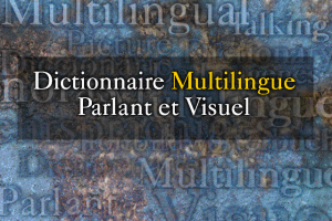 Multi-Lingual Talking Picture Dictionary 1