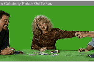 Multimedia Celebrity Poker 8