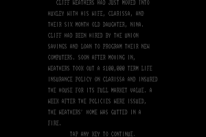 Mystery Master: Felony! 9
