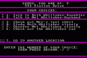 Mystery Master: Felony! abandonware