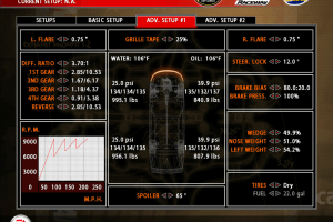 NASCAR SimRacing 15