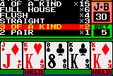 Neo Dragon's Wild 8