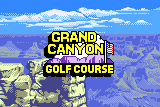 Neo Turf Masters 3