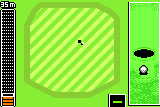 Neo Turf Masters 5