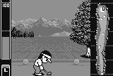 Neo Turf Masters 7