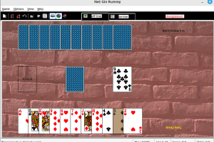 Net Gin Rummy abandonware