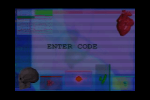 NET:Zone 1