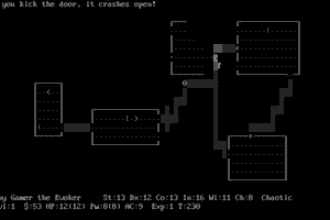 NetHack 10