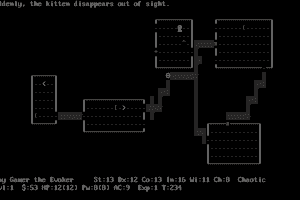 NetHack 11