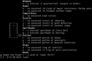 NetHack 13