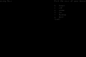 NetHack 1