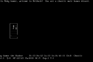 NetHack 3