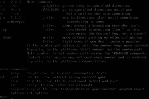 NetHack 5