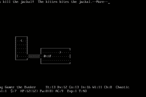 NetHack 8