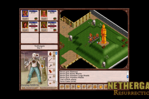 Nethergate: Resurrection 6
