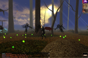 Neverwinter Nights 28