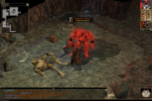 Neverwinter Nights 29