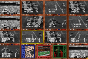 NFL Video Pro Football abandonware