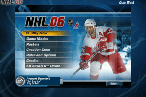 NHL 06 11