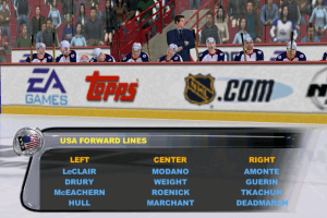 NHL 2003 abandonware