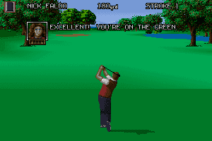 Nick Faldo's Championship Golf 10