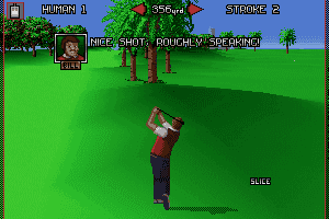 Nick Faldo's Championship Golf 8