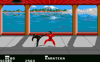 Ninja abandonware