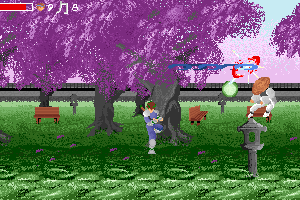 Ninja Densetsu 2 2