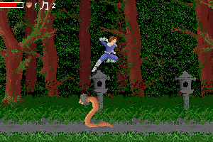 Ninja Densetsu 2 abandonware