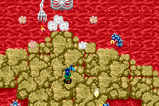 Ninja Emaki 9