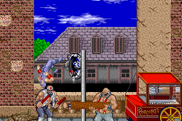 Ninja Gaiden 10