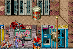 Ninja Gaiden 11