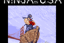 Ninja Gaiden 3