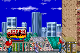 Ninja Gaiden 4