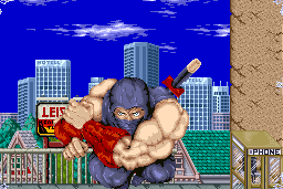 Ninja Gaiden 6
