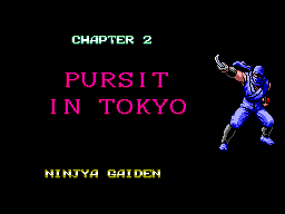 Ninja Gaiden 15