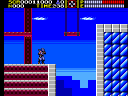 Ninja Gaiden 20