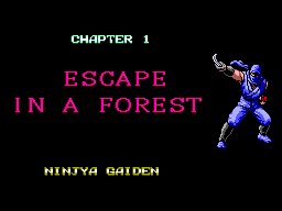 Ninja Gaiden 6