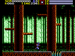 Ninja Gaiden 8