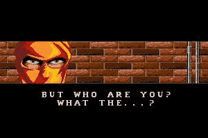 Ninja Gaiden II: The Dark Sword of Chaos 9