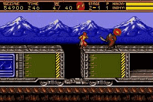 Ninja Gaiden II: The Dark Sword of Chaos 10