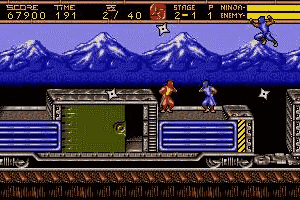Ninja Gaiden II: The Dark Sword of Chaos 13