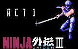 Ninja Gaiden III: The Ancient Ship of Doom abandonware