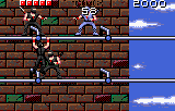 Ninja Gaiden abandonware