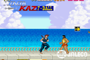 Ninja Kazan 5