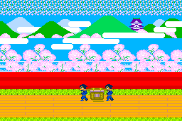 Ninja Princess 0