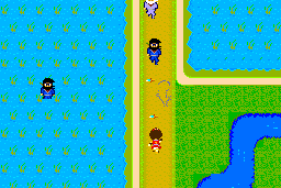 Ninja Princess 8